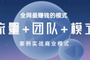 王冲《商业模式+流量系统+团队管理》培训课程视频